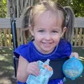 Menina de 3 anos morre após ficar presa em cozinha de brinquedo imagem