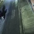 Mulher é assaltada por dois criminosos em uma charrete imagem