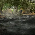 Onda de calor deixa mais de 7,3 mil mortes em excesso na França em 2026 imagem