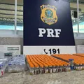 Ônibus é interceptado com drogas e centenas de medicamentos na Bahia imagem