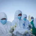 Oxford inicia teste em humanos de vacina contra nova cepa do ebola imagem