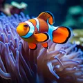 Peixes de aquário: veja dicas essenciais de como cuidar dos animais imagem