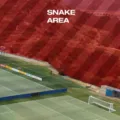 Perigo? CT da Suíça na Copa do Mundo é cercado por cobras venenosas imagem