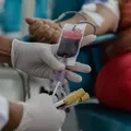 Pessoas com mais de 70 anos poderão continuar a doar sangue imagem