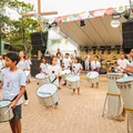 Praia do Forte tem programação especial para a Festa da Baleia Jubarte imagem