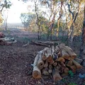 Prefeito de Catolândia é investigado por crime ambiental e usucapião imagem