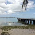 Projeto Mares salva corais em Vera Cruz imagem