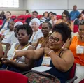 Projeto Paranauê fortalece agentes culturais para concorrer a editais imagem