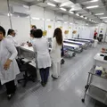 Quase 100 pessoas são atendidas na Bahia por queimaduras no São João imagem