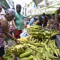 Receitas de São João: dicas para escolher o melhor milho e amendoim na feira imagem