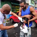 Salvador intensifica vacinação antirrábica; saiba como vai funcionar imagem
