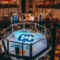Salvador recebe maior evento de MMA com entrada gratuito imagem