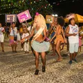 São João de Salvador terá apresentações gratuitas de samba junino imagem
