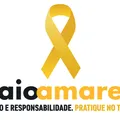 Segurança viária é política de todos os dias imagem
