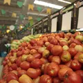 Tomate despenca 41% e reduz custo da cesta básica em Salvador imagem