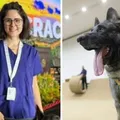 Veterinária atacada por cão do Senado morre após quatro dias internada imagem