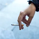 A escolha certa