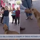 Cachorro “come” equipamento de repórter em programa ao vivo