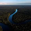 Desmatamento na Amazônia cai 37,5% e atinge menor nível da história