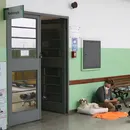 Exercício ilegal da Medicina Veterinária se torna crime no Brasil