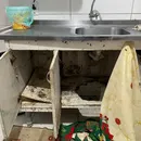 Gestora de abrigo é solta após prisão por suspeita de maus-tratos contra idosos