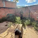 Professora é presa por suspeita de maus-tratos contra cães na Bahia