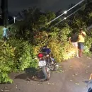 Queda de árvore interdita avenida e deixa feridos no Dique do Tororó