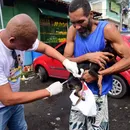 Salvador intensifica vacinação antirrábica; saiba como vai funcionar
