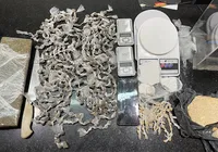 Adolescente é apreendida com quase 2 kg de drogas na Bahia