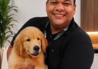 Animais precisam de proteção em dias de jogos do Brasil