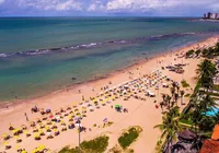 Brasil aparece entre os países com mais ataques de tubarão; veja ranking
