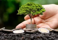 Brasil passa de relatórios de sustentabilidade obrigatórios para voluntários