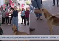Cachorro “come” equipamento de repórter em programa ao vivo