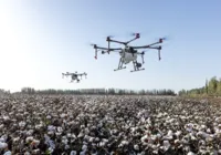 Como o uso da inteligência artificial está desbancando o agro baiano?
