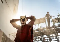 Corrida dos Bichos é bom? Filme tem boas ideias, mas peca pela superficialidade