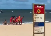 Criança é vítima de ataque de tubarão na Praia de Piedade, em Recife