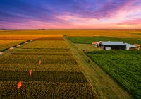 Da safra ao embarque: a logística preparada para transformar produção em competitividade