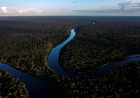 Desmatamento na Amazônia cai 37,5% e atinge menor nível da história