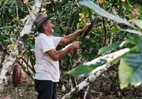 Dia do Agricultor: quem são os protagonistas que movem a Bahia