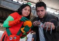 Família transforma paixão pelo universo geek em tradição no Gamepólitan
