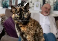 Gata de 31 anos deve entrar no Guinness Book como mais velha do mundo