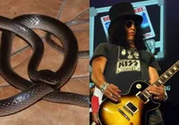 Guitarrista do Guns N' Roses é agraciado com nome em espécie de cobra