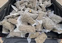 Homem é preso com 100 kg de maconha na Bahia destinada à facção do RJ imagem