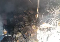 Incêndio atinge prédio abandonado na Cidade Nova