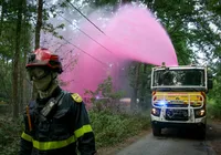 Incêndio histórico destrói floresta de Fontainebleau perto de Paris