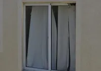 Infestação de insetos em cidade da Bahia assusta moradores; entenda motivo