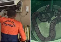 Jiboia é encontrada dentro de aparelho de ar-condicionado