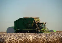 Luís Eduardo Magalhães, sede da Bahia Farm Show, cresce com o agronegócio imagem