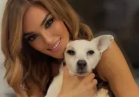 Mulher tatua cinzas de cachorro falecido nos olhos