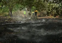 Onda de calor deixa mais de 7,3 mil mortes em excesso na França em 2026